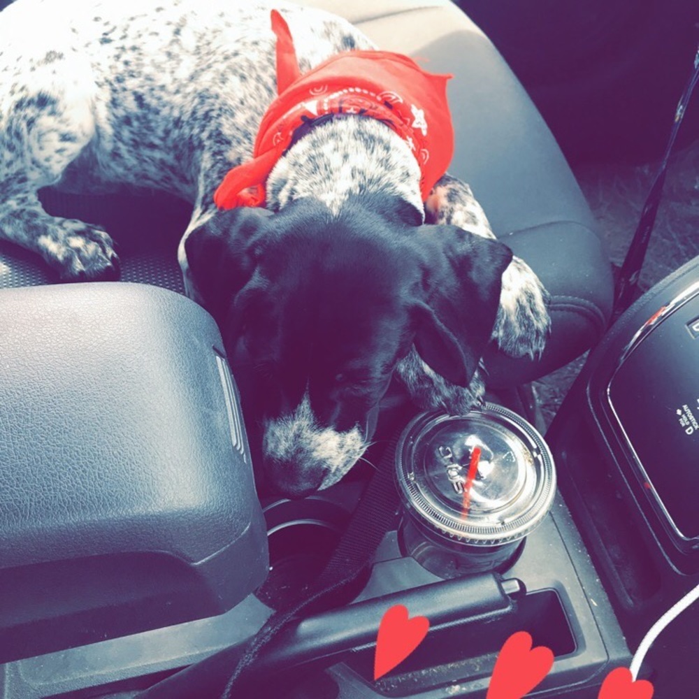 Meet your Posher, Emma